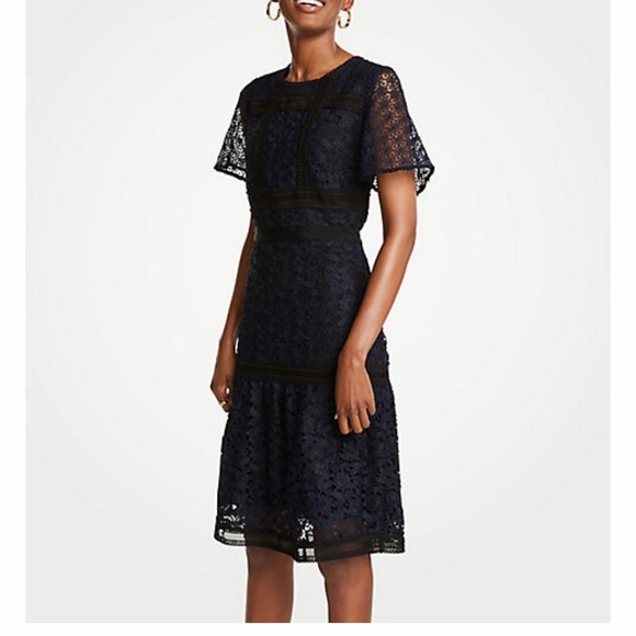 slim fit dress slacks Ann Taylor LOFT Navy Floral Embroidered Long Sleeve Dress – SilkRoll main image 1